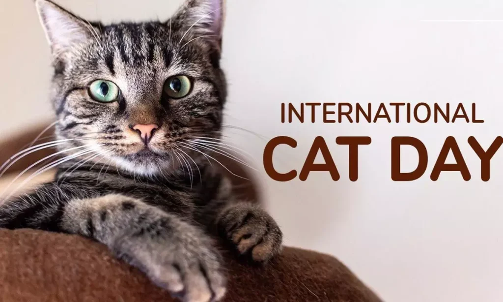 International Cat Day 2025