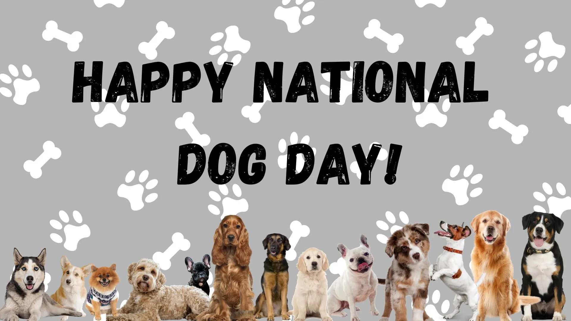 When Is National Dog Day | Tuesday, 26th August 2025